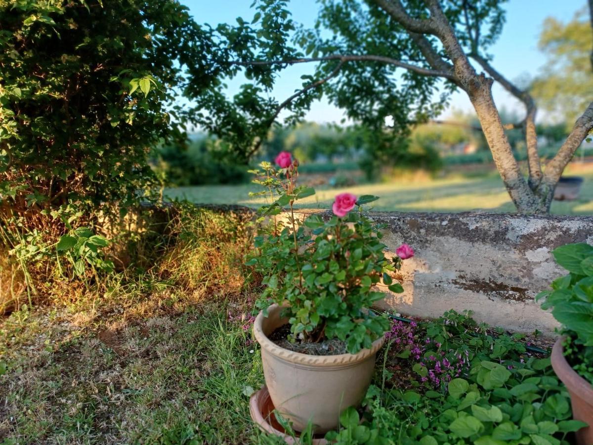 Appartamento Kamik 1 Banjole Esterno foto